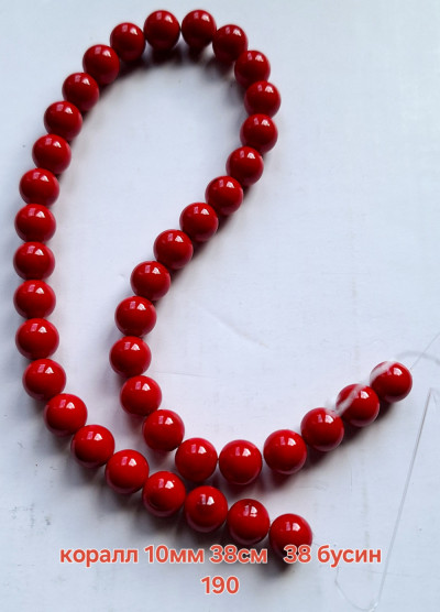коралл(10см)